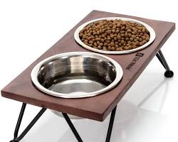 stylish pet food bowl and standの画像