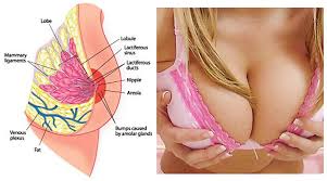 Image result for pannamas firming hot & cool gel