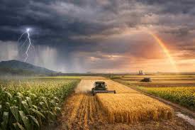 Tormentas y lluvias en 15 provincias agrícolas: el clima inestable en Argentina