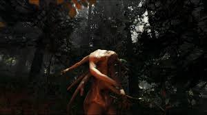 Descargar The Forest (0.04) para android