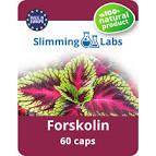 Forskolin Cvs Quick Blast Belly Fat - My WLC