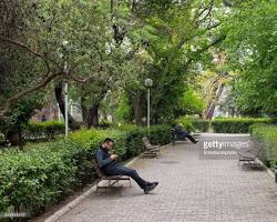 Image of People sitting on benches in a city park