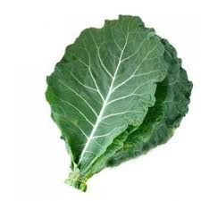 Resultado de imagem para couve