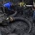 Farmer digs up woolly mammoth bones in Michigan soy field