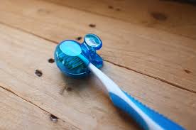 Résultat de recherche d'images pour "toothbrush cover"