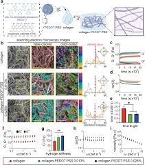 Researchers create breakthrough hydrogel technology as an alternative to pacemakers - 1