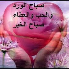 صباح الخير Images?q=tbn:ANd9GcT4cn2eM3McmVSdkm_h1ge2rsW6Z6JJOYh5gY1PX0MKUKe5sekh