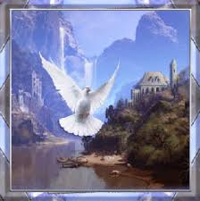Image result for imagenes de palomas cristianas