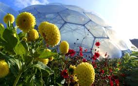 Image result for Eden project biosphere