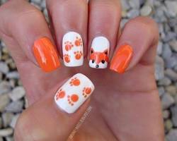 Imagem de Unhas de animais