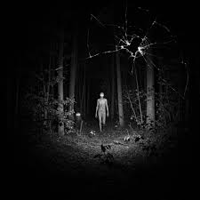 At 2:14 a.m., the motion sensor flared to life, bathing the ...