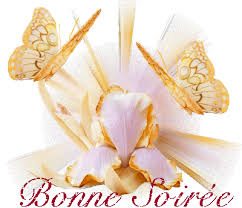 Résultat de recherche d'images pour "bonne soirée brillante"