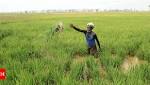 Centre eyes rich election harvest