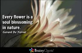 Flower Quotes - BrainyQuote via Relatably.com