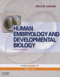 Human Embryology and Developmental Biology Images?q=tbn:ANd9GcT57rTKrF0Ny4tkyseWyiBwN8pyx4Nj1AbkZMfrqeuIu2nryZoT