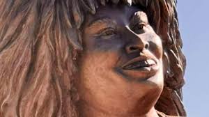 Tina Turner Statue Controversy