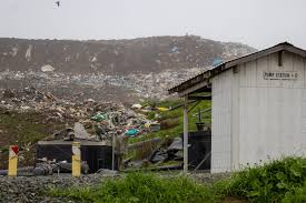 Lane County hearings official weighs appeal to stop CleanLane site