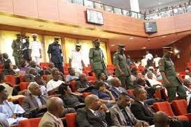 Image result for NIGERIA SENATE FIGHT