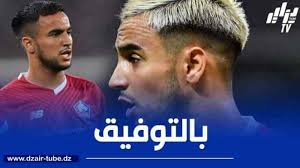 دزاير توب - News update