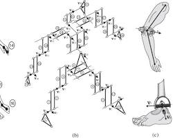 Image of biomechanical model