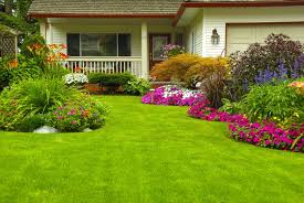 Image result for unique landscaping in manila