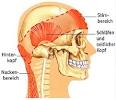 Nervenschmerzen Kopf (Neuralgie) Ursachen Behandlung