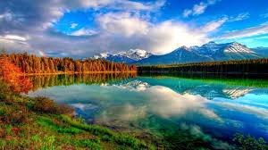 Image result for Amazing HD Nature Wallpapers For Desktop