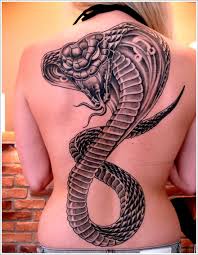 Image result for black cobra with sweet girl