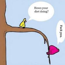 Work Out Funny Quotes. QuotesGram via Relatably.com