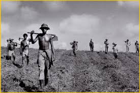 Resultado de imagem para fotos sebastião salgado crianças trabalhando