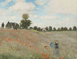 Poppy Field