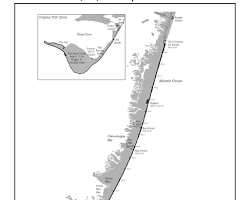 Image of OSV zone, Assateague Island
