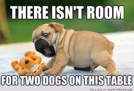Dogs Are Cute via Relatably.com