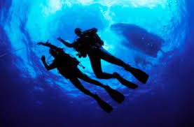 Image result for INDIAN OCEAN DIVING