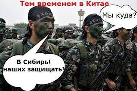 Похожее изображение