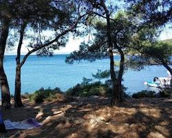 Cunda Adası Kamp Alanı Balıkesir resmi