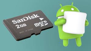 Image result for SD card