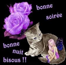 Résultat de recherche d'images pour "bonne soiree a demain"