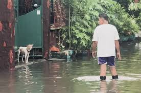 GMA Network - News update