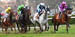 Résultat de recherche d'images pour "image d'hippodrome de course de chevaux"