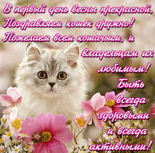 images?q=tbn:ANd9GcT6PUQkZZwrEMEBmoGjVNm