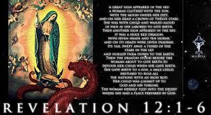 Image result for REVELATION 12 OUR LADY