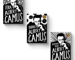 Sis ve Işık kitabı Albert Camus