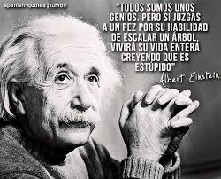 10 Spanish related things. on Pinterest | Einstein Quotes, Spanish ... via Relatably.com