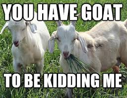 goat to be kidding me | Glesga Goats | Pinterest | Goats via Relatably.com