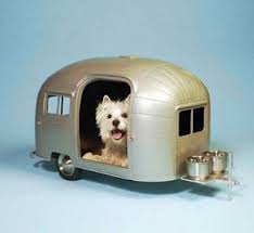 Bildergebnis für hunde wohnwagen bilder lustig