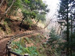 関連画像