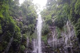 Image result for CURUG BENOWO
