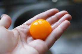 Image result for egg yolk