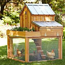 Image result for chicken cage